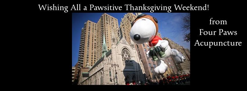 jeanie marie mossa MS. L.Ac.