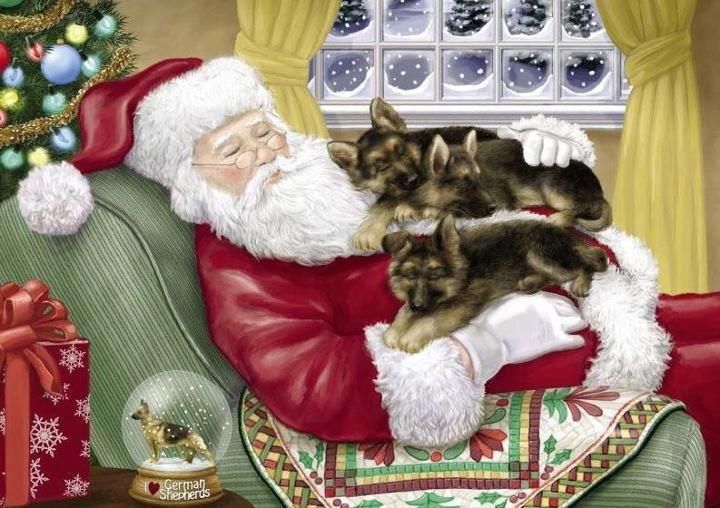 jeanie marie mossa MS. L.Ac.