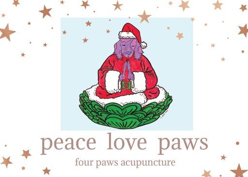 jeanie marie mossa MS. L.Ac.