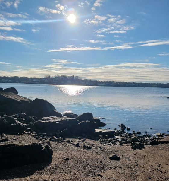 jeanie marie mossa MS. L.Ac.